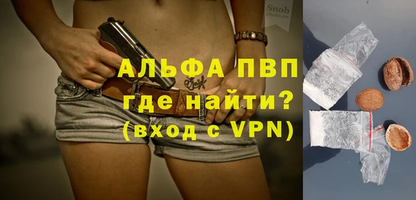 индика Михайловка