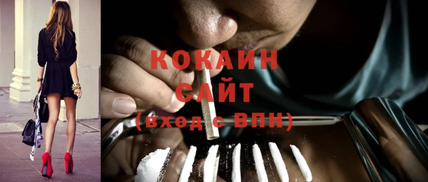 индика Михайловка