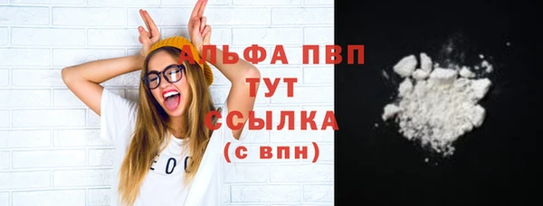 индика Михайловка