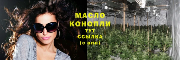 индика Михайловка