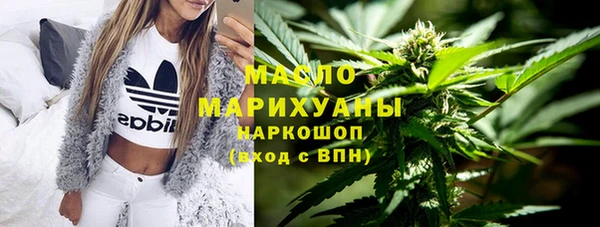 индика Михайловка