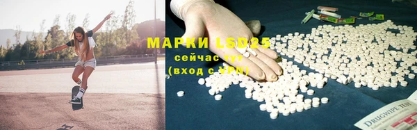 индика Михайловка